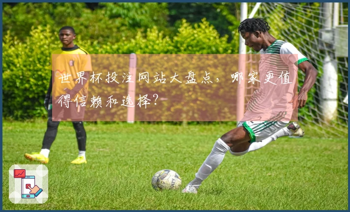 世界杯投注网站大盘点，哪家更值得信赖和选择？