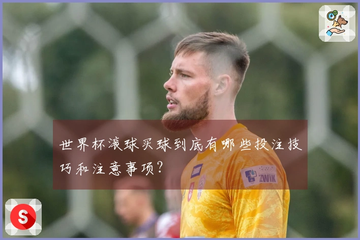 世界杯滚球买球到底有哪些投注技巧和注意事项？