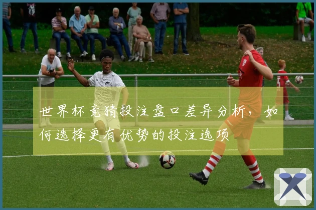 世界杯竞猜投注盘口差异分析，如何选择更有优势的投注选项