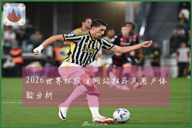 2026世界杯投注网站推荐及用户体验分析