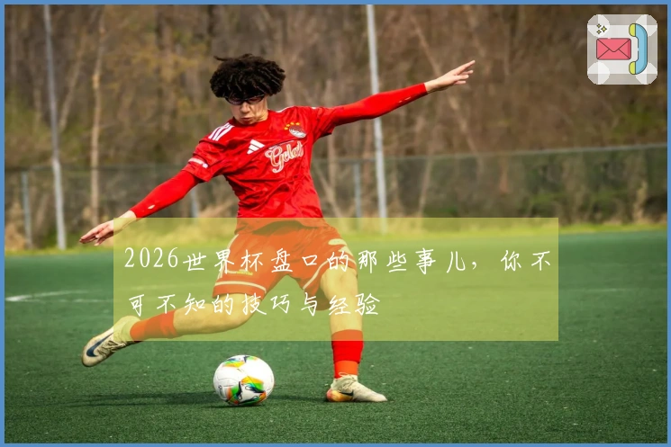 2026世界杯盘口的那些事儿，你不可不知的技巧与经验