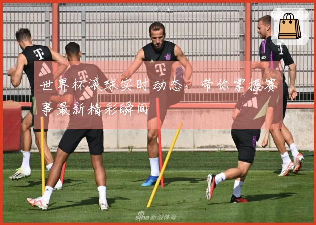 世界杯滚球实时动态，带你掌握赛事最新精彩瞬间