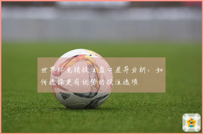 世界杯竞猜投注盘口差异分析，如何选择更有优势的投注选项