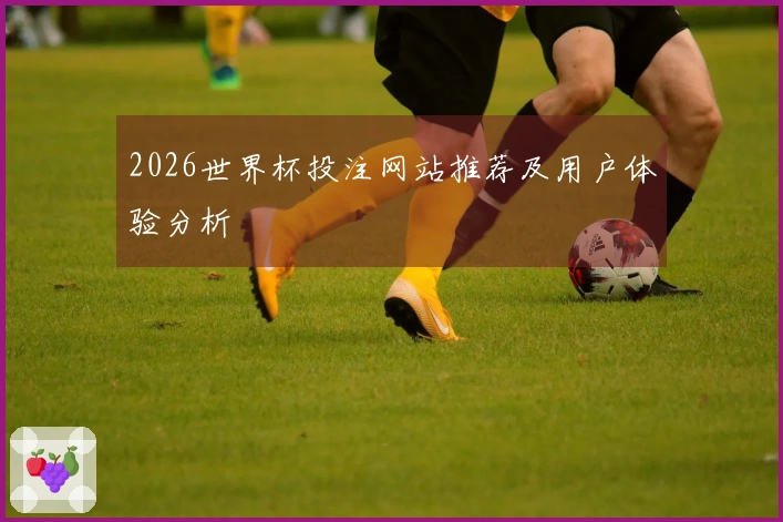 2026世界杯投注网站推荐及用户体验分析