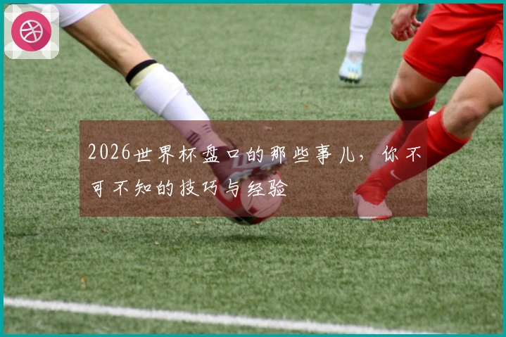 2026世界杯盘口的那些事儿，你不可不知的技巧与经验