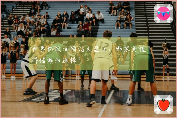 世界杯投注网站大盘点，哪家更值得信赖和选择？